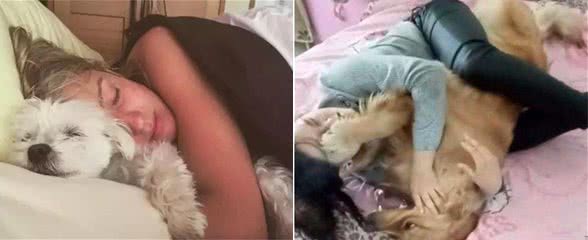 狗狗睡觉时有这7个表现，说明它认主了，好好爱它吧