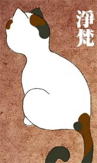 那些你不知道的美国短毛猫的佛系花色