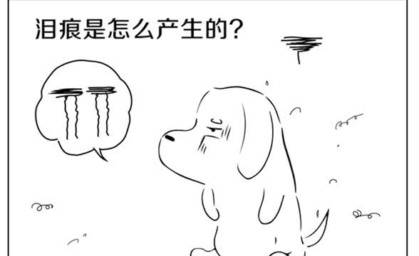 狗狗泪痕是如何产生的呢?