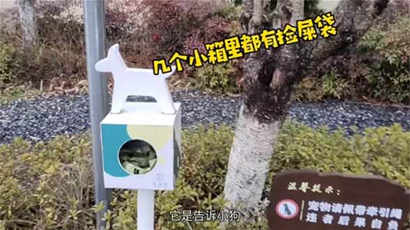 这俩天带小狗旅行住的地方大家都在问，今天来个完整的入住感受