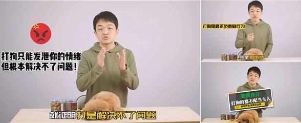 恕我直言，打狗的都不配养狗!