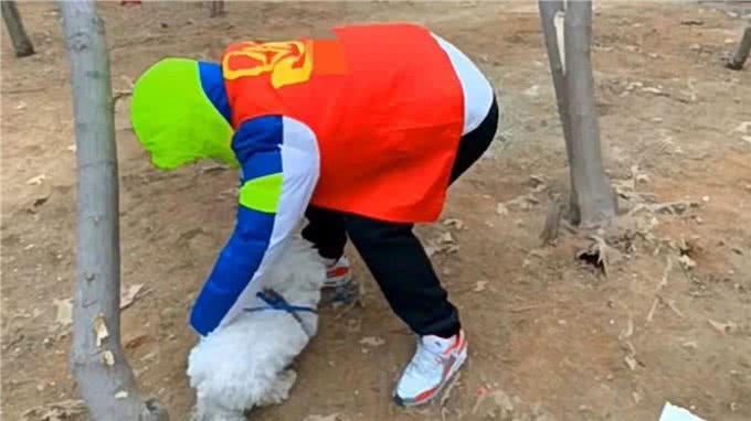 比熊被主人扔在路边后，留下一张字条独自离去，狗狗冻得浑身颤抖