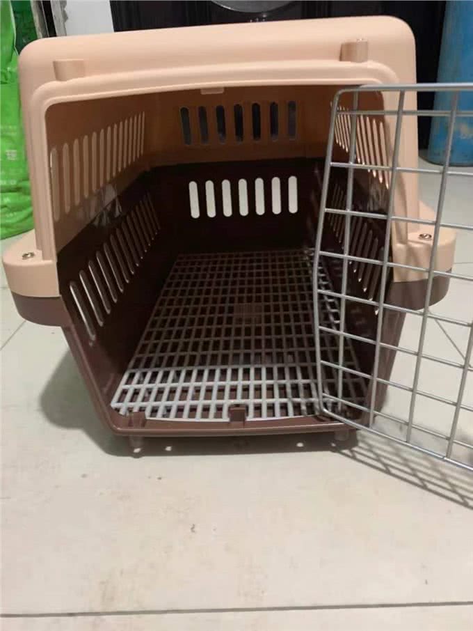 正确认识狗狗出行工具—航空箱