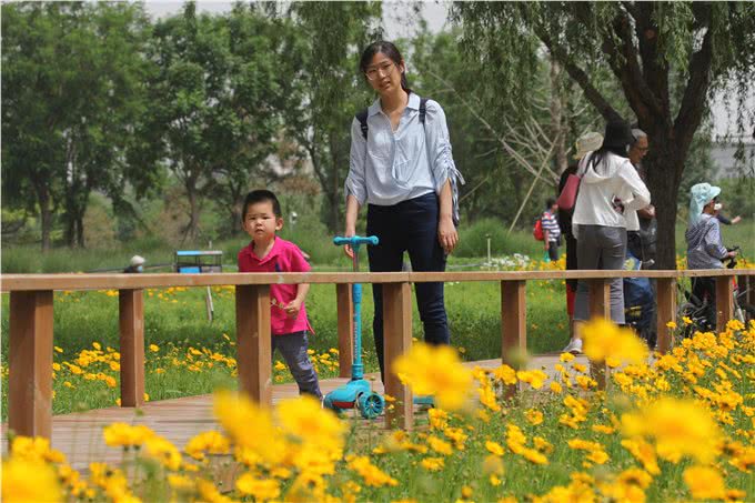带上宠物逛公园，盘点北京可以带狗去的7个景点，出行前做好攻略