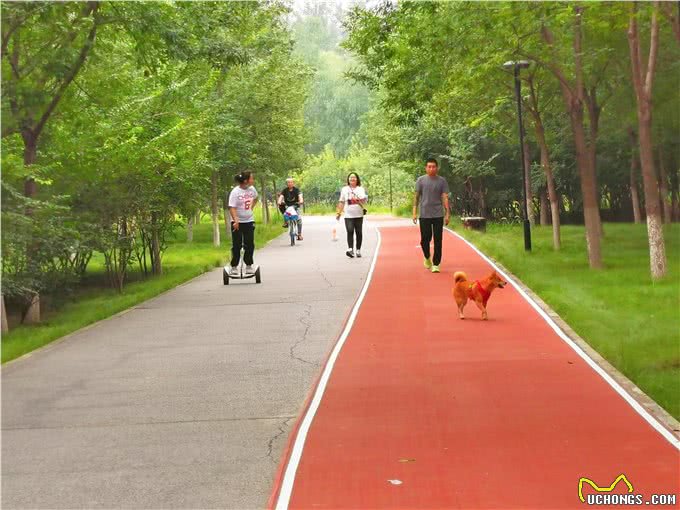 带上宠物逛公园，盘点北京可以带狗去的7个景点，出行前做好攻略