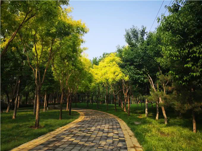 带上宠物逛公园，盘点北京可以带狗去的7个景点，出行前做好攻略