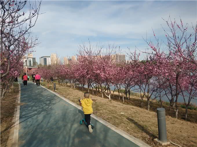 带上宠物逛公园，盘点北京可以带狗去的7个景点，出行前做好攻略
