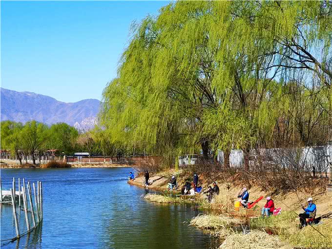 带上宠物逛公园，盘点北京可以带狗去的7个景点，出行前做好攻略