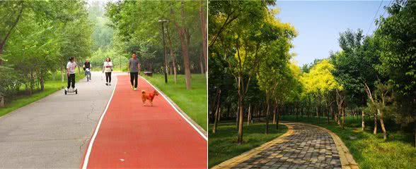 带上宠物逛公园，盘点北京可以带狗去的7个景点，出行前做好攻略