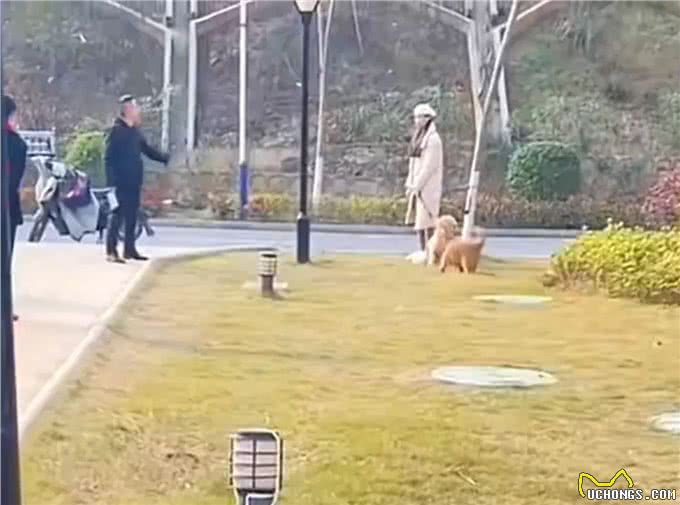 惊险一幕!家长拿菜刀教育不懂规矩的狗主人