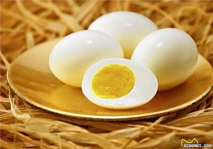 热门健康话题：给狗狗吃什么可以补钙?怎么给狗狗补钙比较合适?