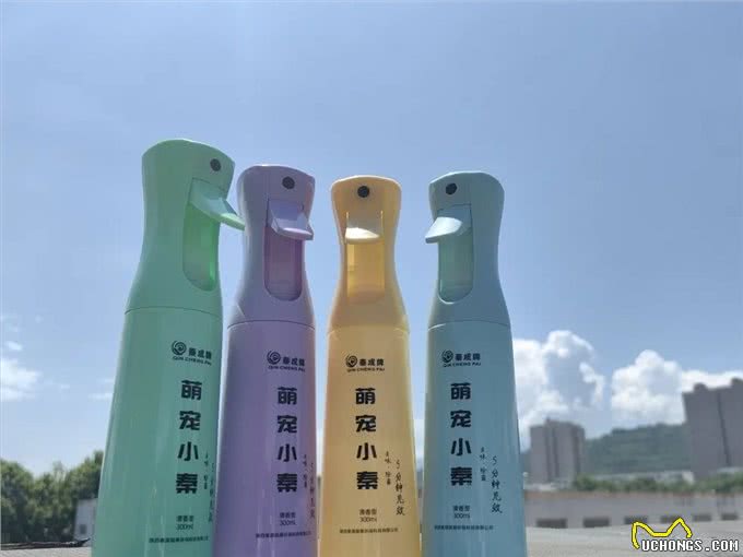 养狗的好处有哪些?狗狗如何提升我们的生活质量