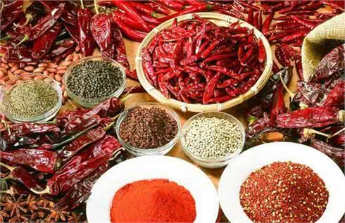 7种食物会使狗狗致命必须高度重视