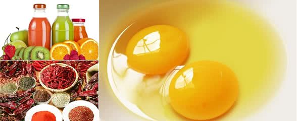 7种食物会使狗狗致命必须高度重视