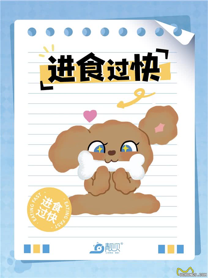 萌宠小科普|狗狗呕吐