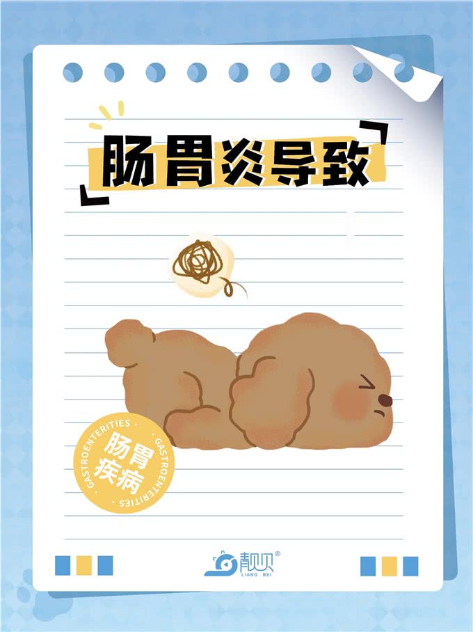 萌宠小科普|狗狗呕吐