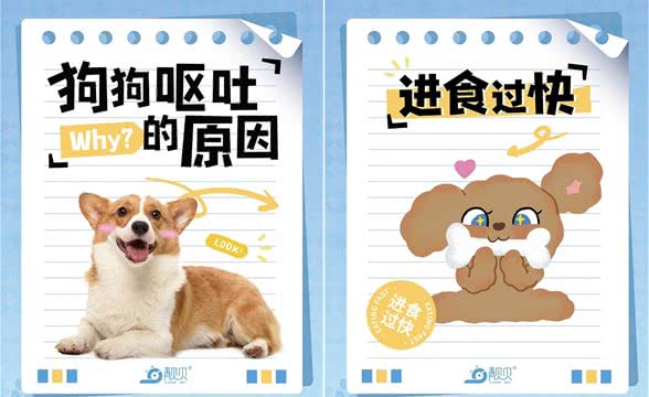 萌宠小科普|狗狗呕吐