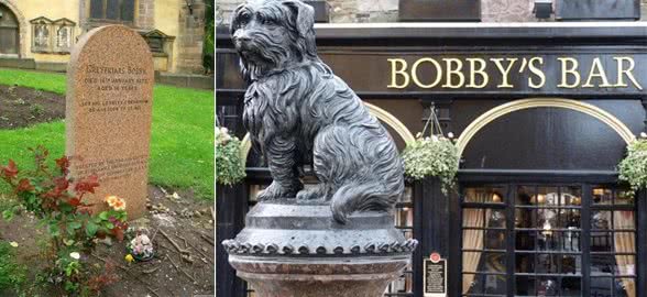 英国流浪犬Bobby守墓14年只为感谢一顿饭