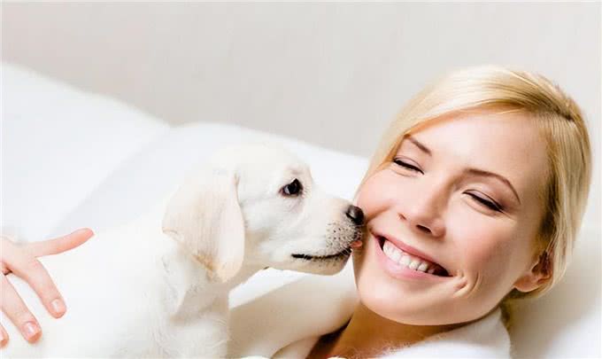 狗为何会喜欢舔人?除了有表达爱意，这几点也不可忽视