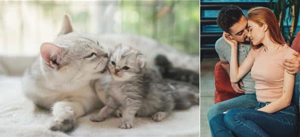 狗为何会喜欢舔人?除了有表达爱意,这几点也不可忽视