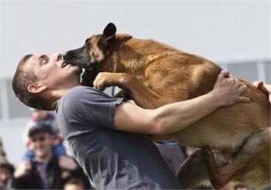 狗狗太善良，会有这6个表现，宠主:懂事得让人心疼