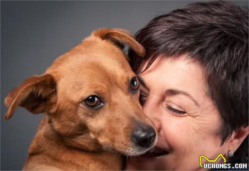 狗狗太善良，会有这6个表现，宠主:懂事得让人心疼