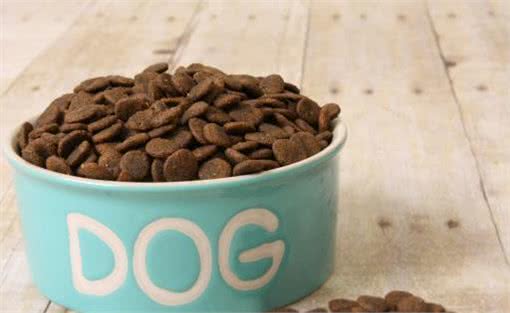 狗狗太善良，会有这6个表现，宠主:懂事得让人心疼