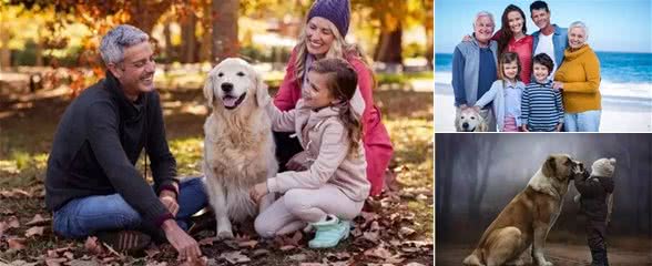 五一节给宠物更好的爱,就是把它当家人对待!