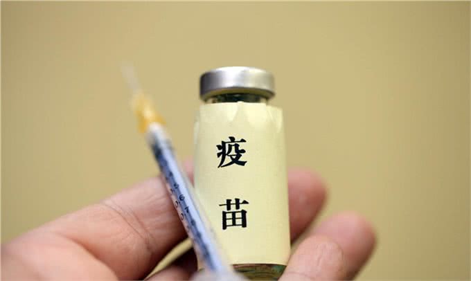 萌宠攻略：新手饲养德牧（黑背）的10个基础攻略，你知道吗?