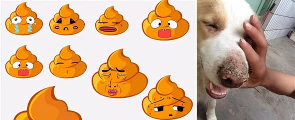 狗狗的8种求救信号,主人快帮帮它们吧