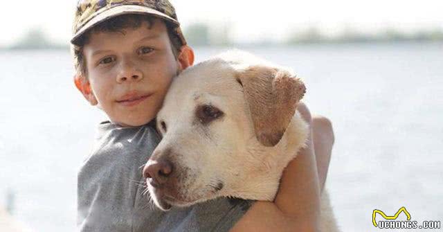 不是吹,狗狗也能嗅出低血糖