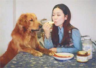 您的宠物免疫了吗?