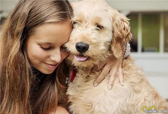 一只狗有这几个迹象,证明它讨厌你了,你却傻傻不知道