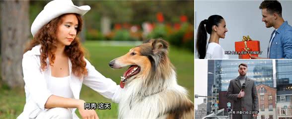 狗狗选美大赛:女主人带胖狗去参赛，结果全场都安静了