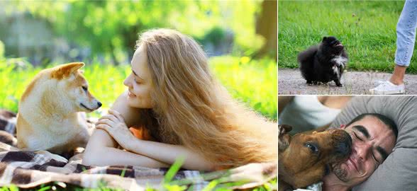 狗狗怎么分辨主人?主要是通过这5个方法