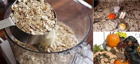 我们的燕麦早餐，可以跟狗狗进行分享吗?狗狗需要燕麦里的营养吗