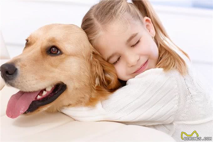 狗的记忆只有不到两分钟：记吃又记打，就是记不住人