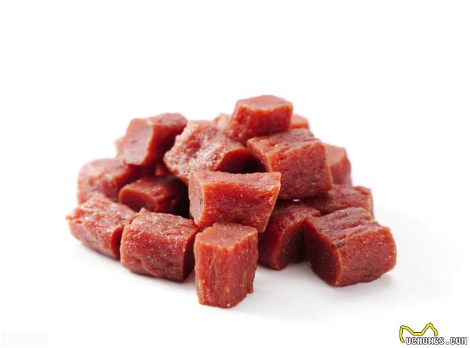 狗为什么会突然食欲不振，原因分析