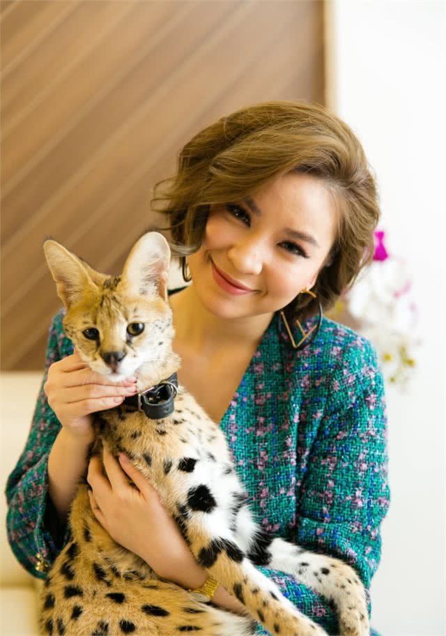 越南富家女花数十万在家里养3只野生大猫,网友:好看但养不起