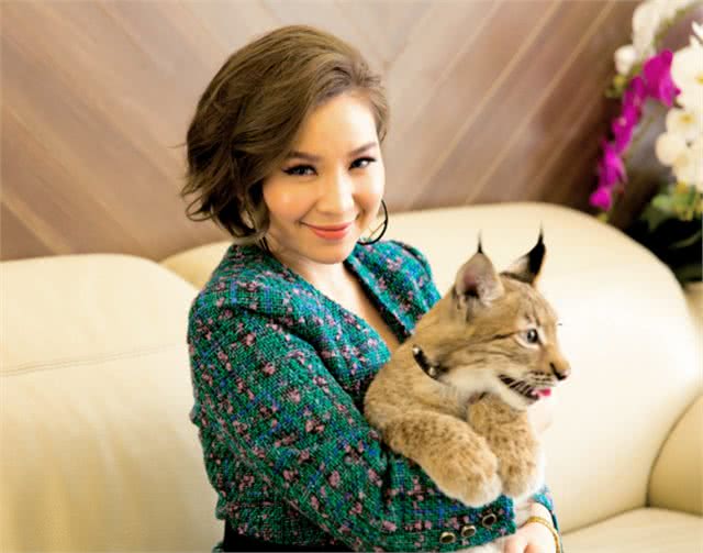 越南富家女花数十万在家里养3只野生大猫,网友:好看但养不起