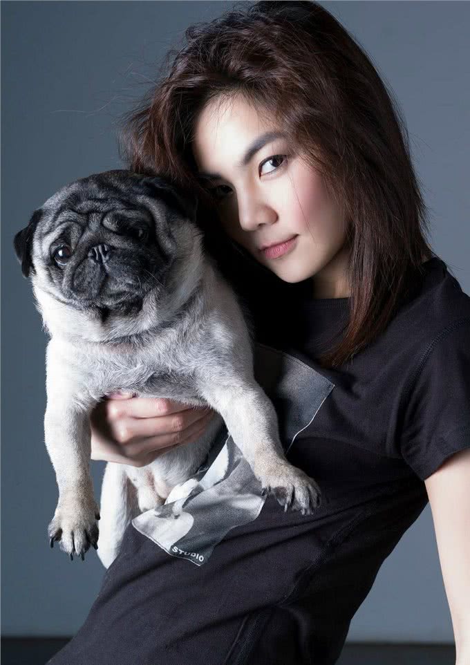 从小叫到大的哈巴狗—霸气巴哥犬