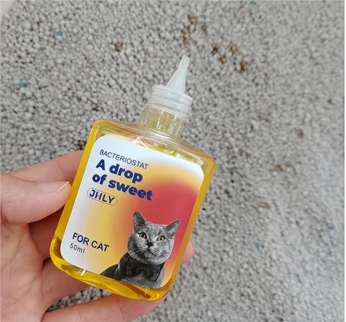 宠物异味难处理?资深宠物管家教你3招快速除臭,试过再无异味