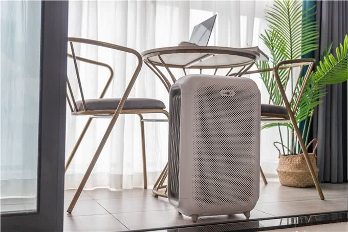 宠物异味难处理?资深宠物管家教你3招快速除臭,试过再无异味