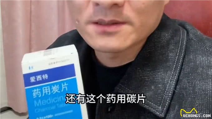 养狗最常见的十个问题?—宠萌