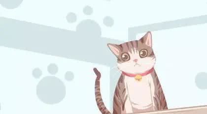 宠物便便奇臭无比怎么办?教你除臭小妙招轻松解决