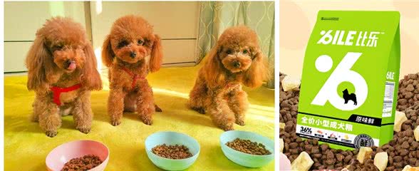 双11高质量狗粮测评,这8款狗粮囤起来!