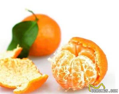 春季跳蚤多,狗狗奇痒无比,这5个小妙招正好用得上