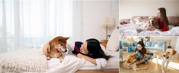 让狗上床睡觉很脏?兽医揭秘:脏不脏,看这里!