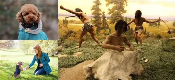 利用好狗狗的这个本能，才能训练出听话的狗狗哦