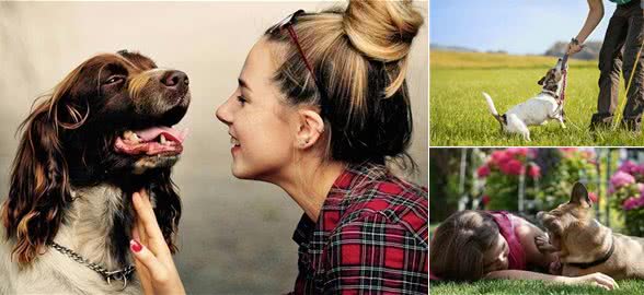 这样做,可以让自己成为吸狗体质